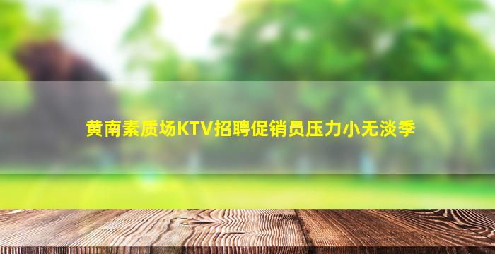 黄南素质场KTV招聘促销员压力小无淡季
